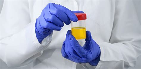 synthetic urine for drug testing